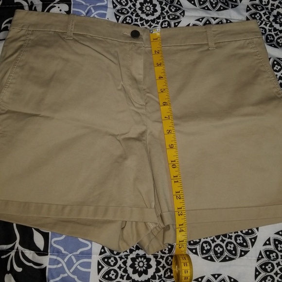 New York & Company Khaki Shorts - Picture 6 of 7